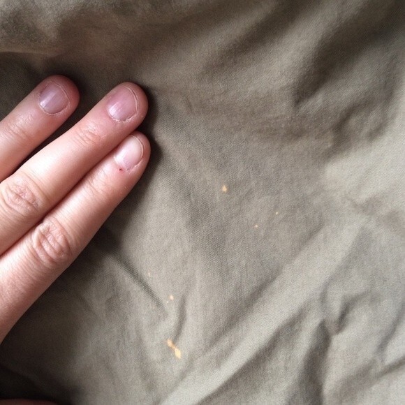 Tan Green Esprit Short - Picture 6 of 6